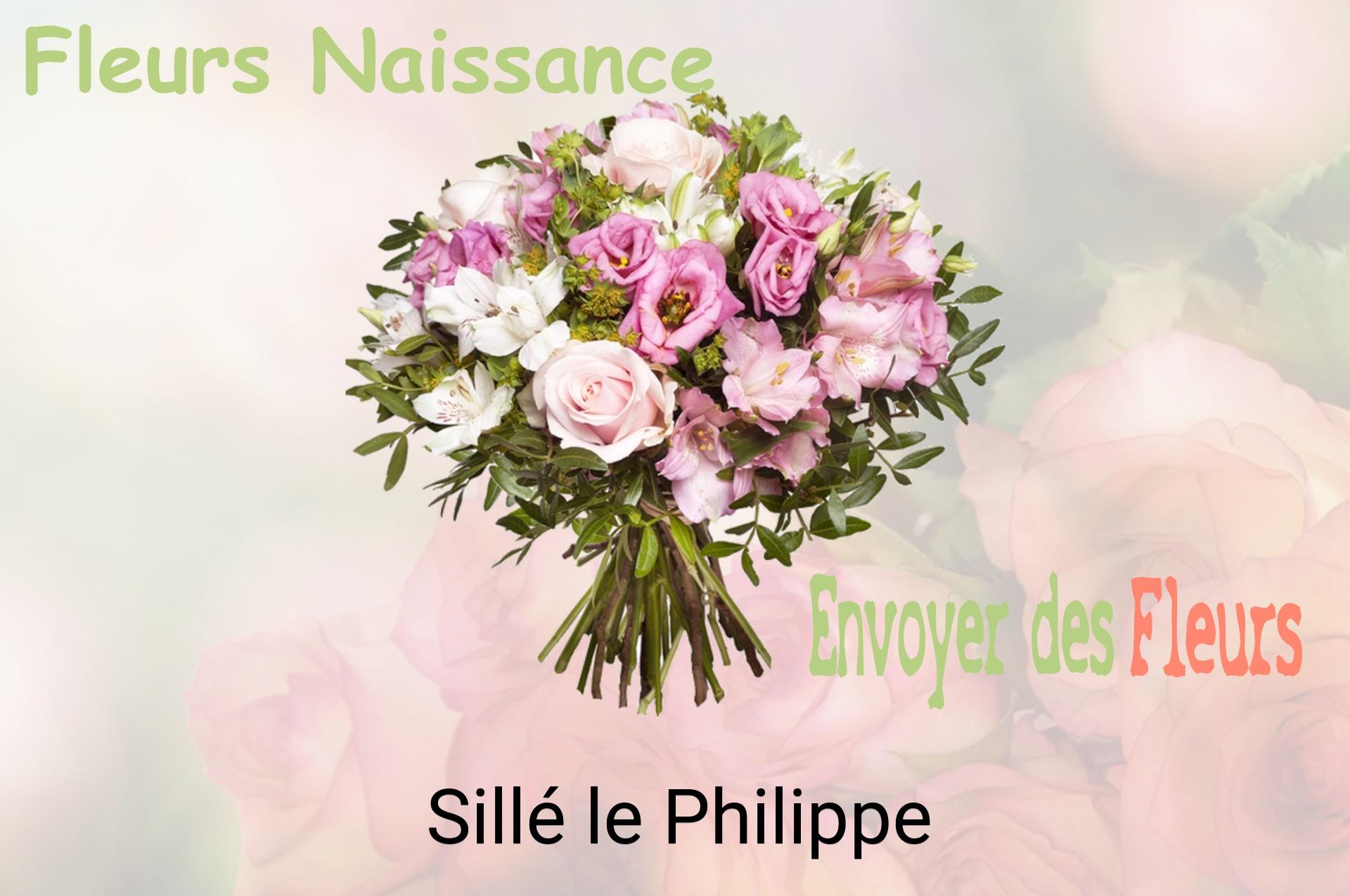 Bouquet de fleurs de naissance livré à Sillé-le-Philippe